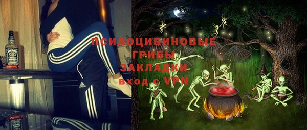 apvp Алексин