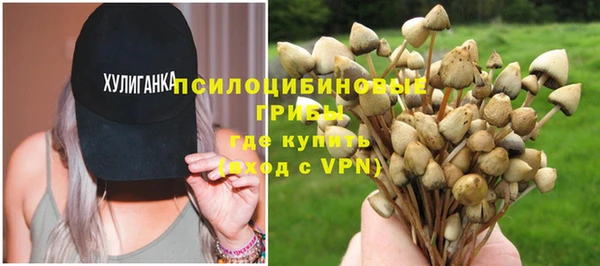 apvp Алексин